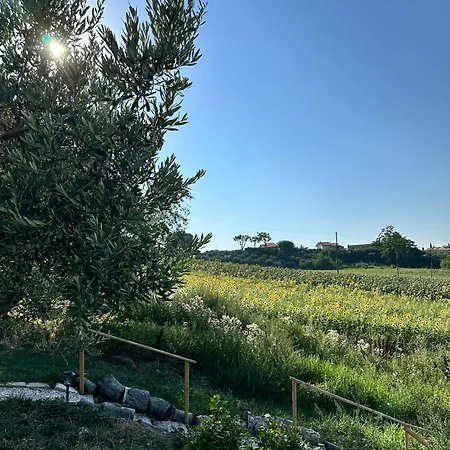 Casa Rilore Oda ve Kahvaltı Ostra Vetere