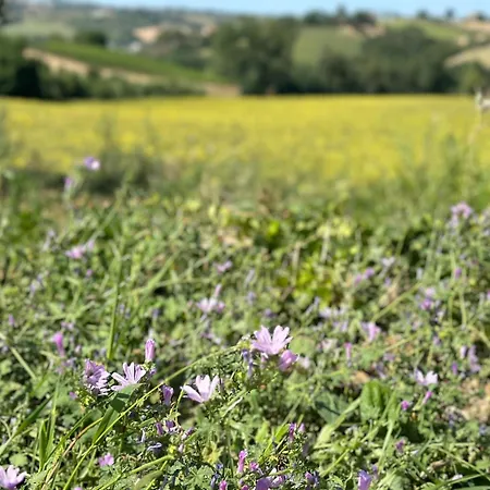 Casa Rilore Oda ve Kahvaltı *