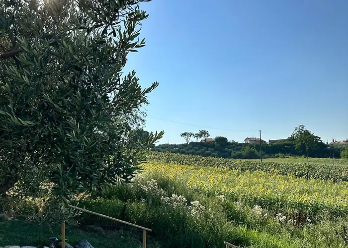 Casa Rilore Bed & Breakfast Ostra Vetere