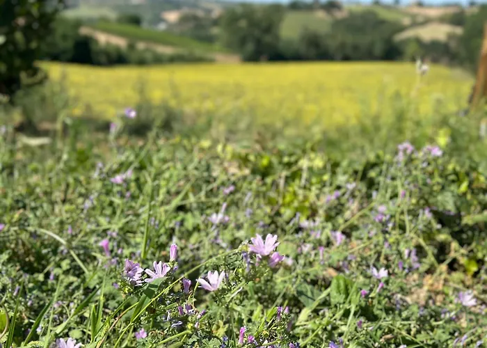 Casa Rilore Bed & Breakfast *